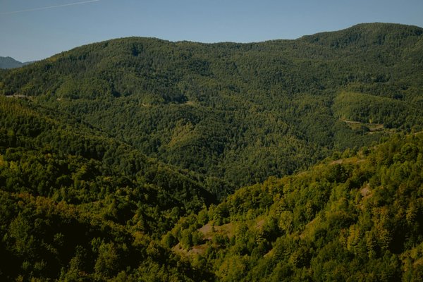 Les Tendances en Mode de Vie Durable